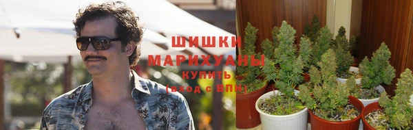 дживик Алзамай