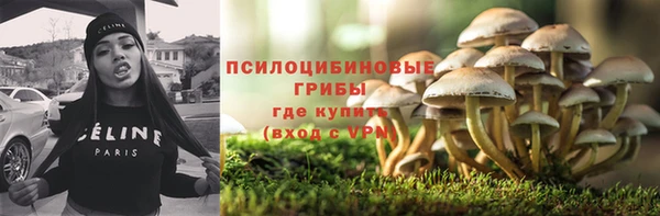 гидра Алексин