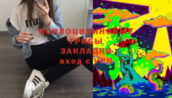 гидра Алексин
