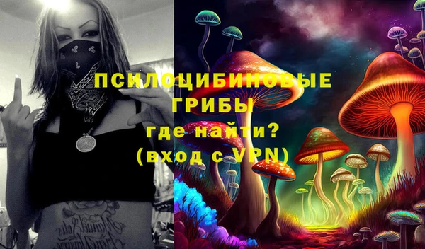 дживик Алзамай