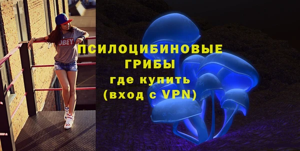 дживик Алзамай
