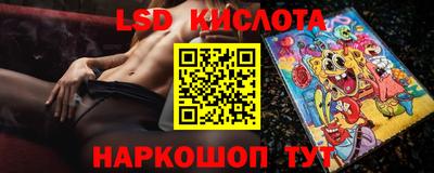 гашик Сланцы
