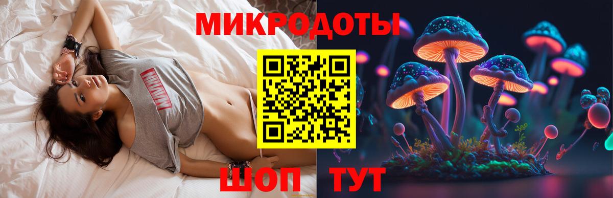 Переславль-Залесский  Псилоцибиновые грибы Psilocybe  наркотики  Вход с VPN 